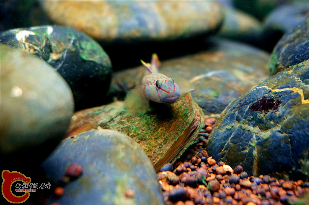 明潭 换24.jpg 明潭 换24.jpg