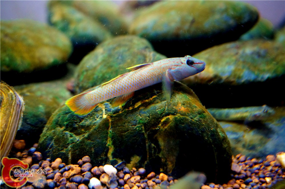 明潭 换25.jpg 明潭 换25.jpg