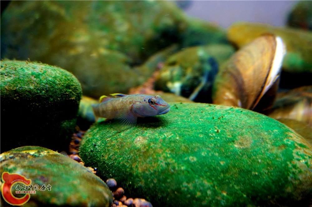 明潭 换28.jpg 明潭 换28.jpg