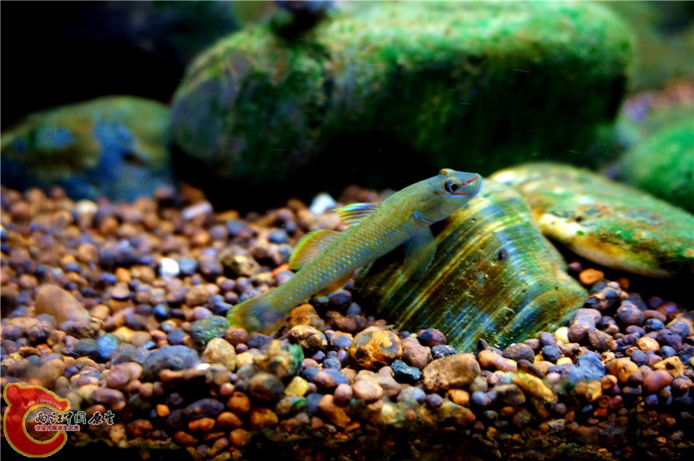 明潭 换29.jpg 明潭 换29.jpg