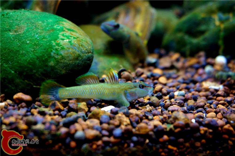 明潭 换30.jpg 明潭 换30.jpg