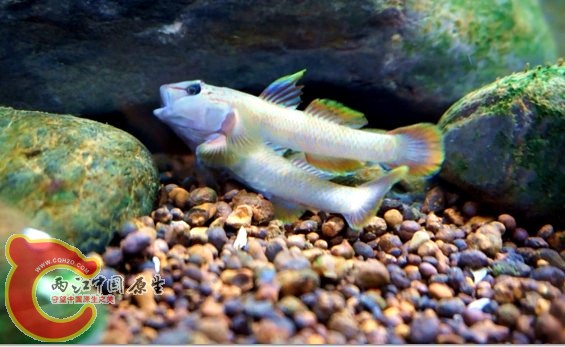 明潭 换32.jpg 明潭 换32.jpg