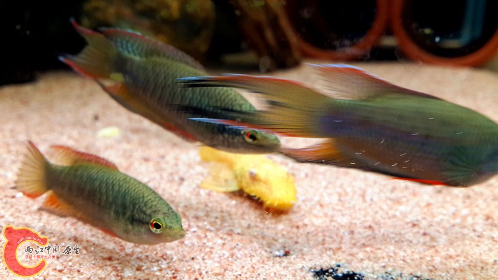 20130829_210748.jpg