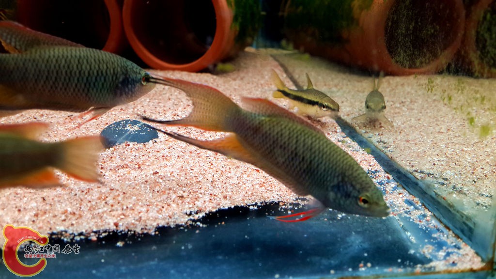 20130829_210755.jpg