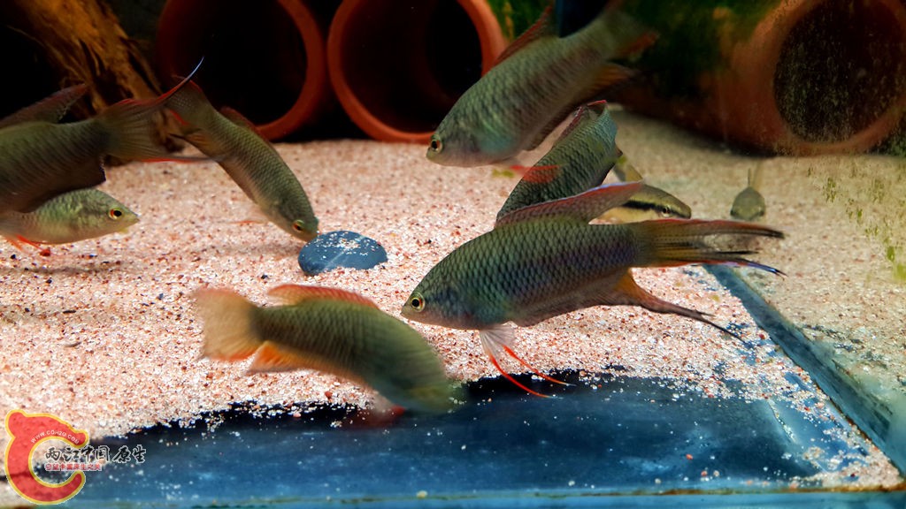 20130829_210758.jpg