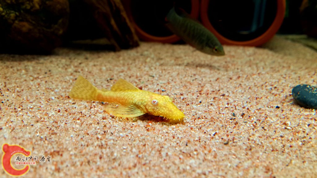 20130829_210811.jpg