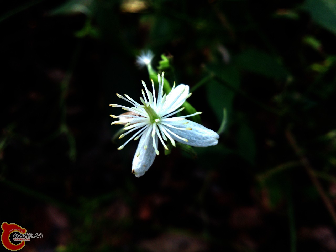 DSC_0568_副本.jpg