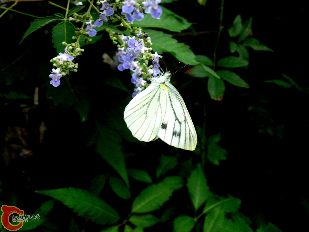 DSC_0592_副本.jpg