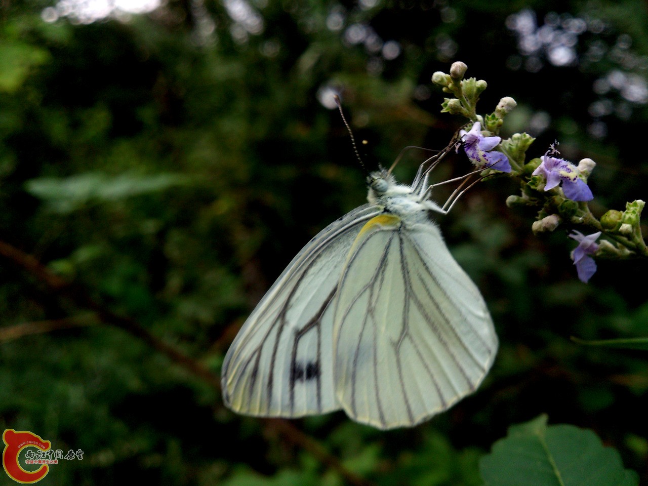 DSC_0598_副本.jpg