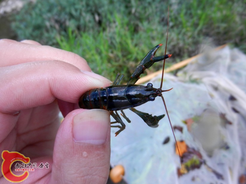 QQ截图20130830161931.jpg