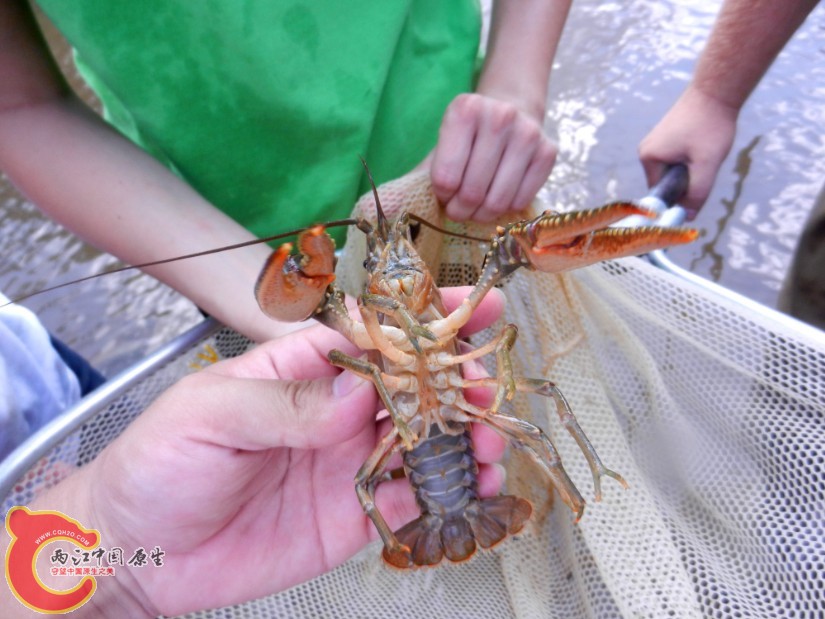 QQ截图20130830162029.jpg