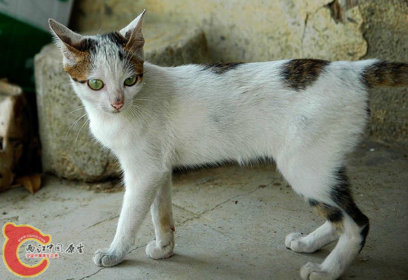 DSC_2381_副本.jpg