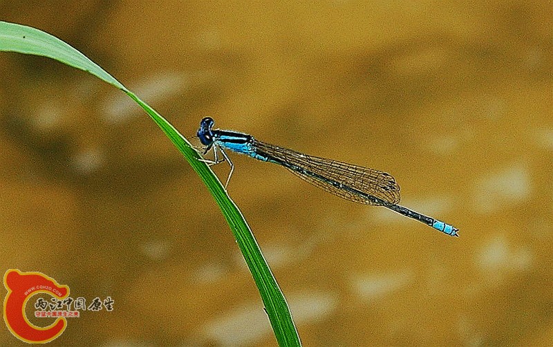DSC_2289_副本.jpg
