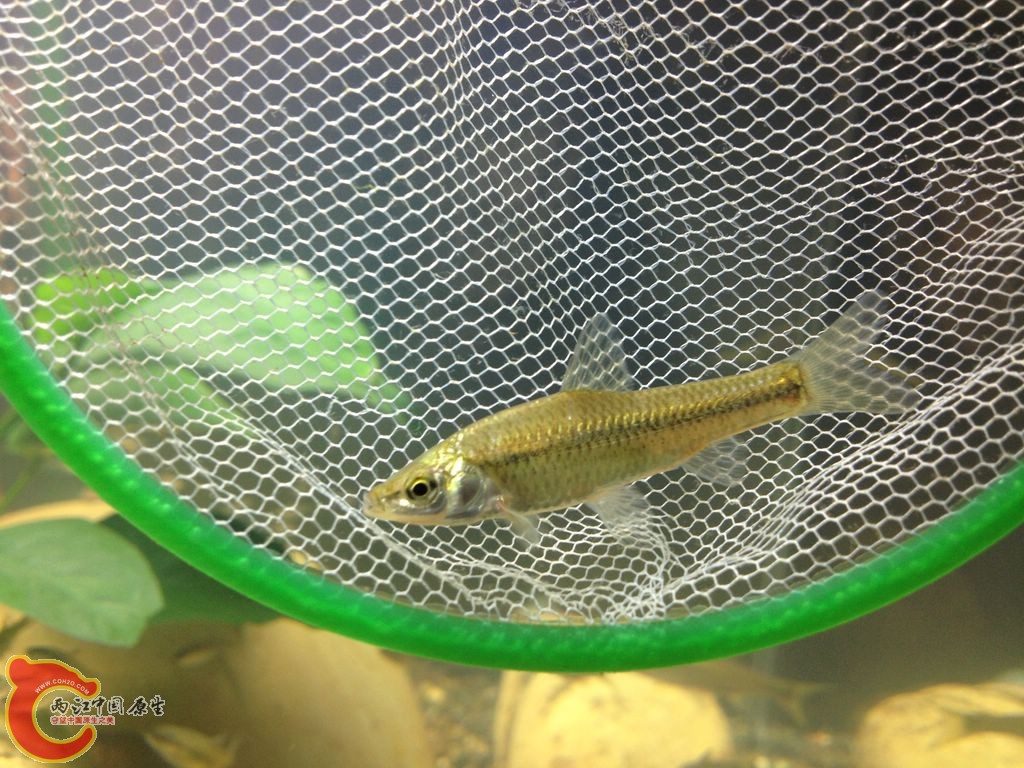 IMG_0001.JPG IMG_0001.JPG