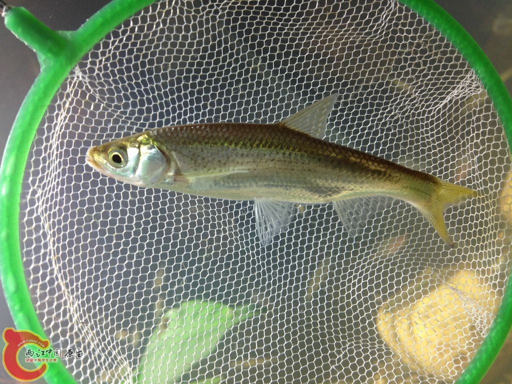 IMG_0011.JPG IMG_0011.JPG