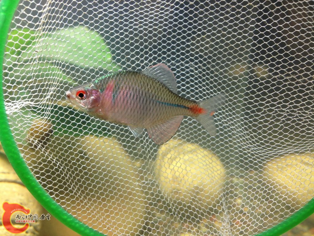 IMG_0020.JPG IMG_0020.JPG