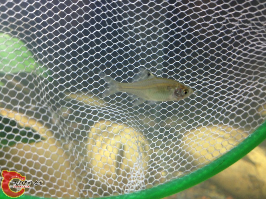 IMG_0026.JPG IMG_0026.JPG