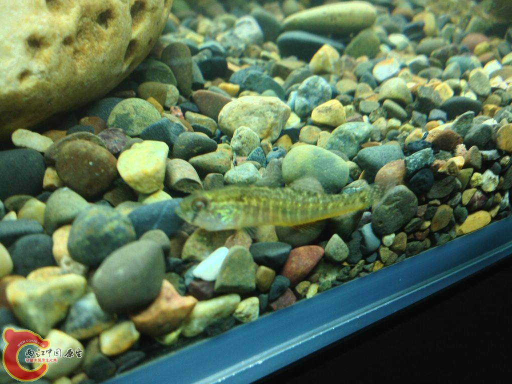 IMG_0037.JPG IMG_0037.JPG