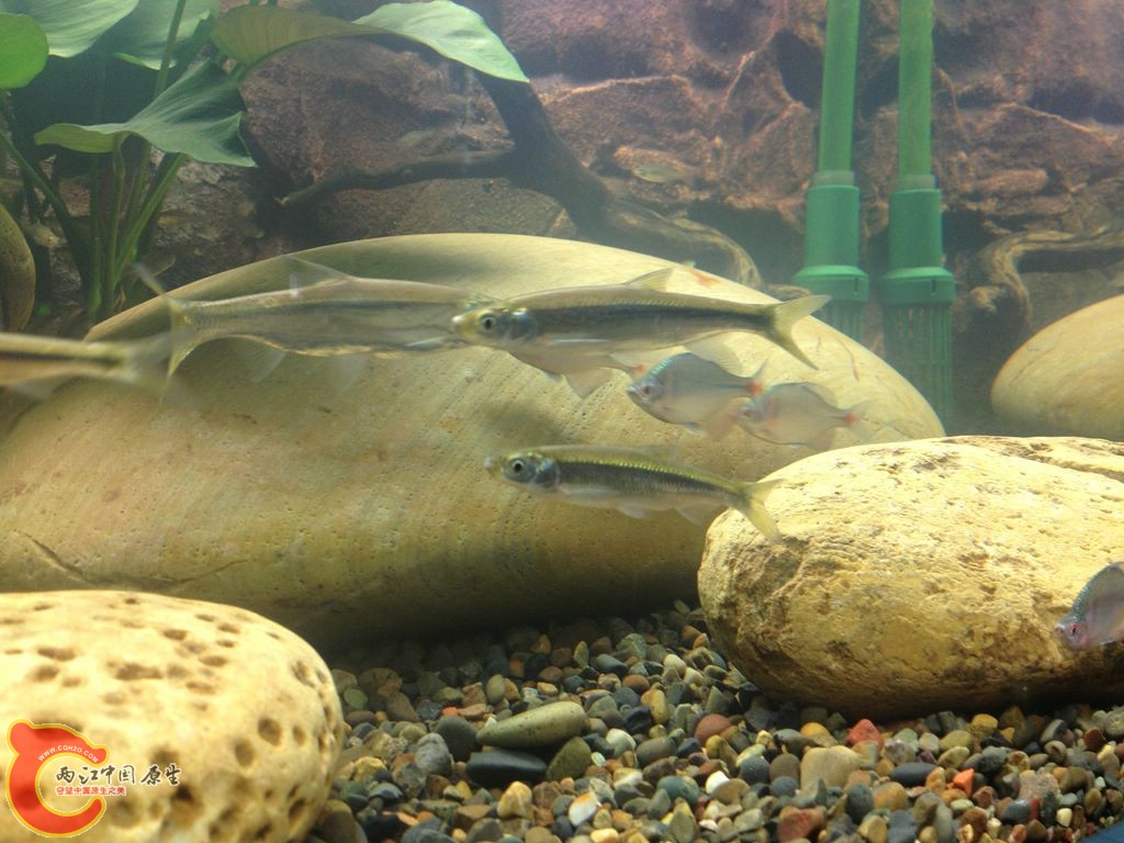 IMG_0040.JPG IMG_0040.JPG