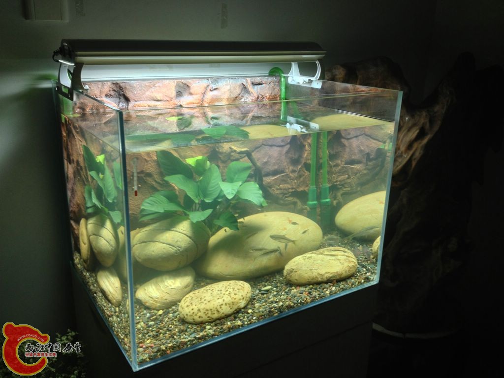 IMG_0033.JPG IMG_0033.JPG