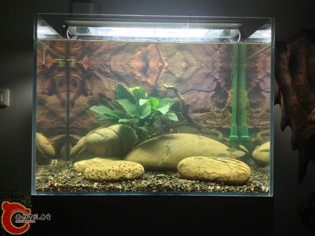 IMG_0035.JPG IMG_0035.JPG