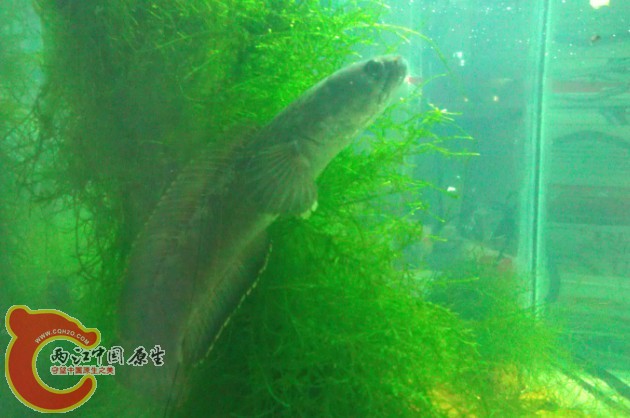 QQ图片20130902172610.jpg