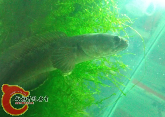 QQ图片20130902172614.jpg