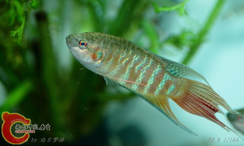 yu01.jpg