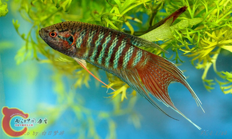 yu05.jpg