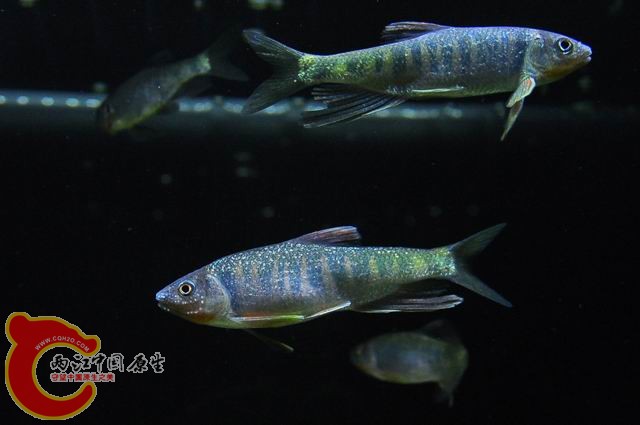 调整大小 DSC_1484.JPG