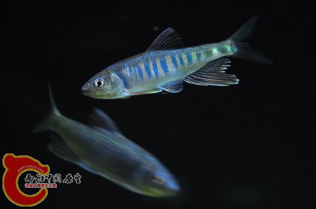 调整大小 DSC_1497.JPG