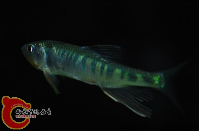 调整大小 DSC_1501.JPG