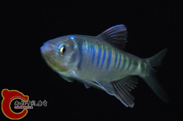 调整大小 DSC_1505.JPG