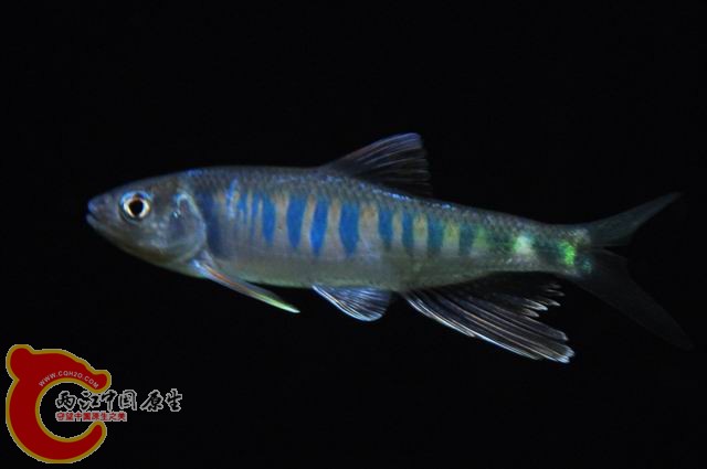 调整大小 DSC_1517.JPG