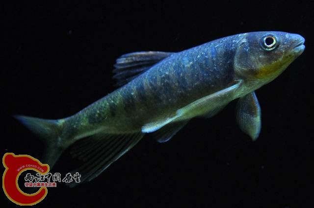 调整大小 DSC_1524.JPG