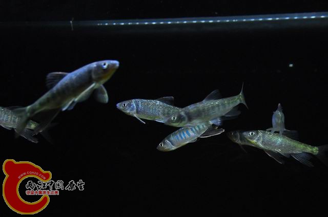 调整大小 DSC_1530.JPG