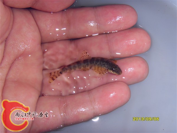 SDC10019_副本.jpg