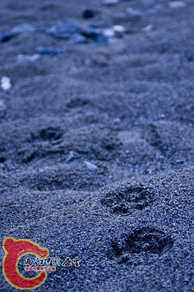 DSC_3036.jpg