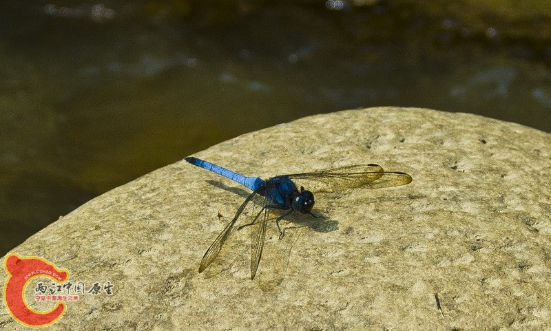 DSC_3049.jpg