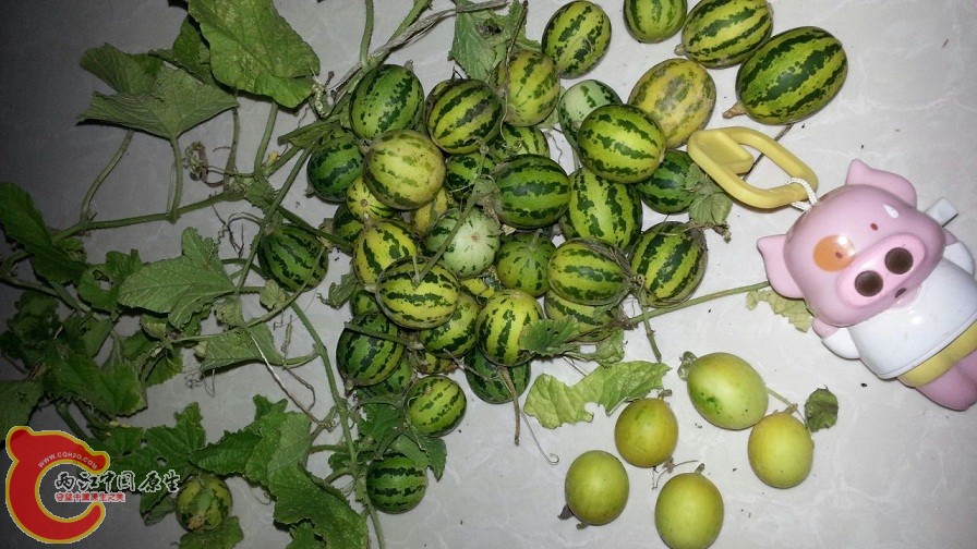 QQ图片20130907181611.jpg