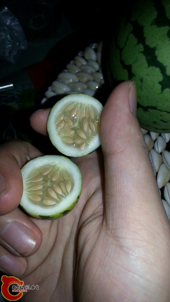 QQ图片20130907184721.jpg