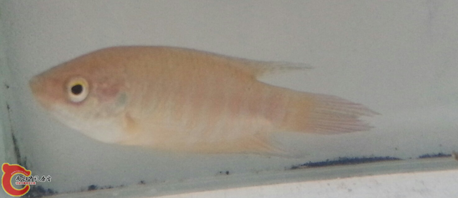 20130908_104712-1.jpg