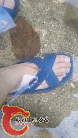 子陵足底按摩去死皮