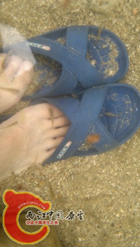 目测几十条，连大眼也加入按摩团队