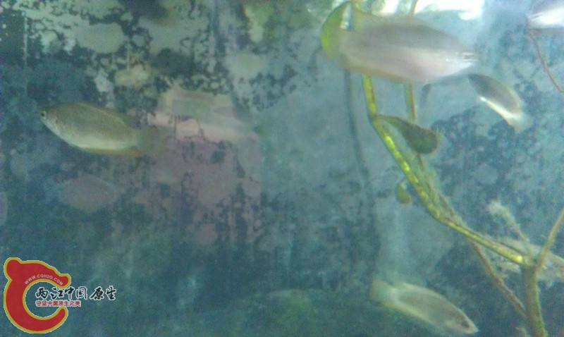 IMAG1392_副本.jpg