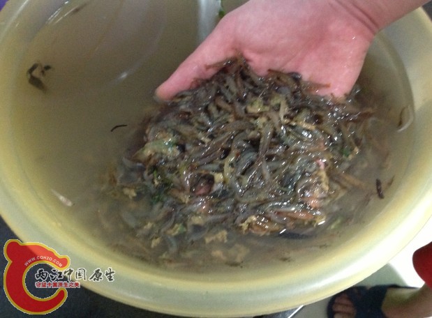 一次恐怖的掠夺