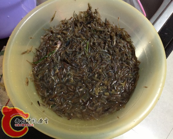 是不是有点密集恐惧症啊