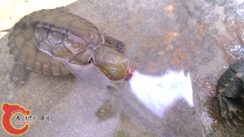 IMG_20130913_130506_副本.jpg