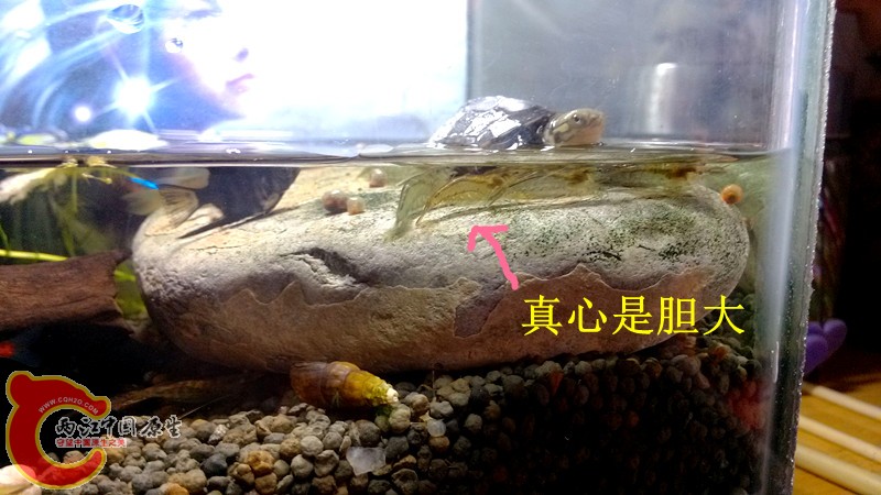 IMG_20130915_155755_副本.jpg