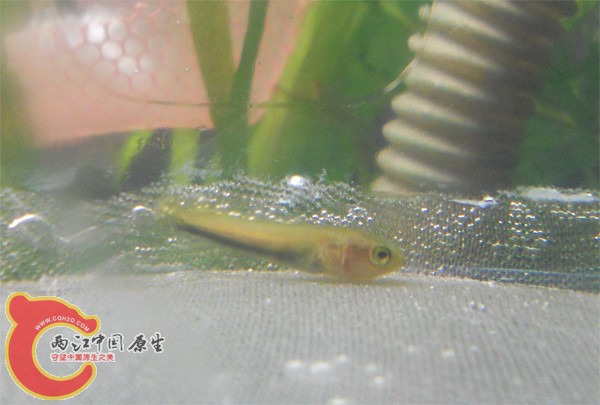 照片 014副本.jpg